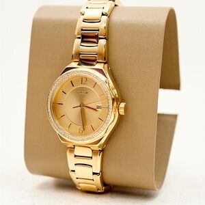 FOSSIL Women's 30mm Gold Dial Analog Quartz Watch - BQ3801